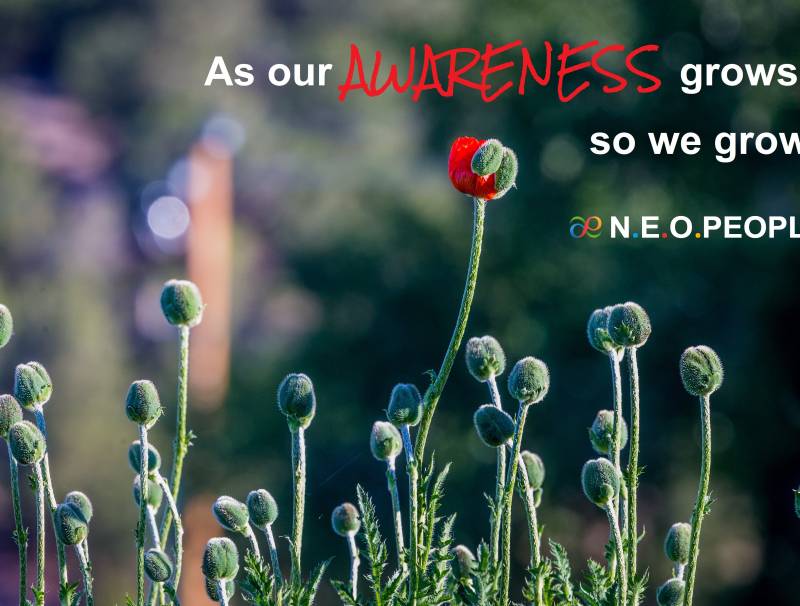 AWARENESS by N.E.O.PEOPLE