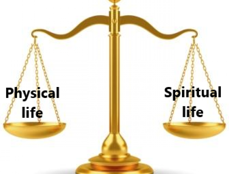 50/50 = BALANCE = N.E.O.LIFE!