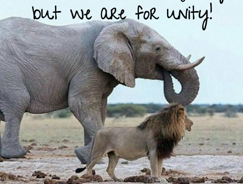 WE DON'T BELIEVE IN EQUALITY, BUT WE ARE FOR UNITY!