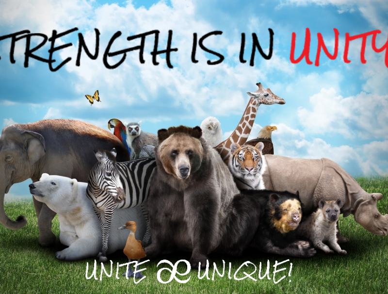 STRENGTH IS IN UNITY!